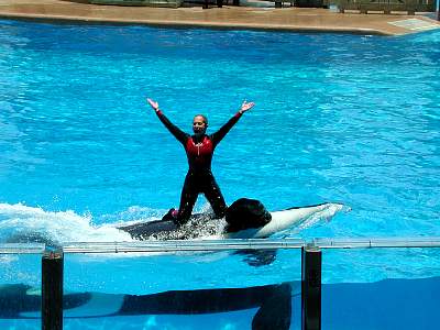 disney_2000_124_Disney2000 Sea World 30 May341.JPG